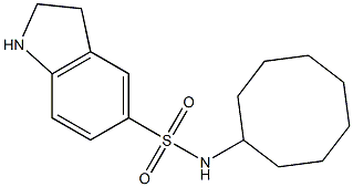 N-cyclooctyl-2,3-dihydro-1H-indole-5-sulfonamide Structure