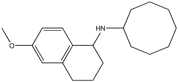 N-cyclooctyl-6-methoxy-1,2,3,4-tetrahydronaphthalen-1-amine,,结构式