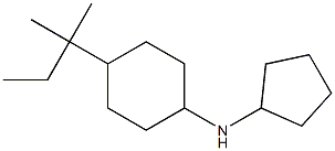 N-cyclopentyl-4-(2-methylbutan-2-yl)cyclohexan-1-amine Struktur