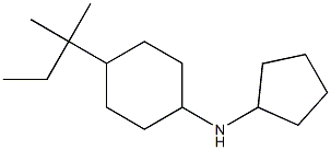 N-cyclopentyl-4-(2-methylbutan-2-yl)cyclohexan-1-amine,,结构式