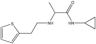 N-cyclopropyl-2-{[2-(thiophen-2-yl)ethyl]amino}propanamide|