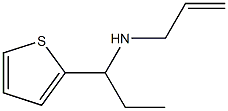 prop-2-en-1-yl[1-(thiophen-2-yl)propyl]amine|