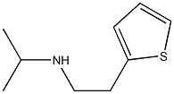 propan-2-yl[2-(thiophen-2-yl)ethyl]amine Structure
