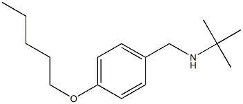 tert-butyl({[4-(pentyloxy)phenyl]methyl})amine,,结构式