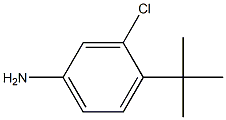 4-tert-butyl-3-chlorophenylamine,,结构式