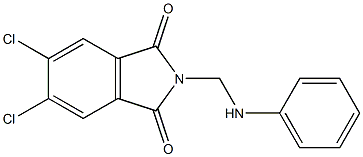 2-(anilinomethyl)-5,6-dichloro-1H-isoindole-1,3(2H)-dione