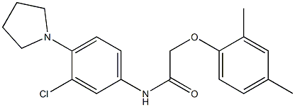 N-[3-chloro-4-(1-pyrrolidinyl)phenyl]-2-(2,4-dimethylphenoxy)acetamide Structure