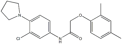 N-[3-chloro-4-(1-pyrrolidinyl)phenyl]-2-(2,4-dimethylphenoxy)acetamide,,结构式