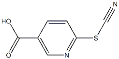 6-(cyanosulfanyl)nicotinic acid Structure