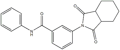 3-(1,3-dioxooctahydro-2H-isoindol-2-yl)-N-phenylbenzamide Struktur