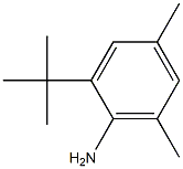 2-tert-butyl-4,6-dimethylaniline,,结构式