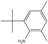 2-tert-butyl-4,6-dimethylaniline