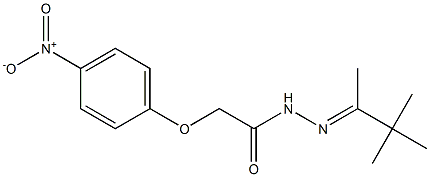 2-(4-nitrophenoxy)-N'-[(E)-1,2,2-trimethylpropylidene]acetohydrazide Structure