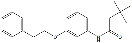 3,3-dimethyl-N-[3-(phenethyloxy)phenyl]butanamide Structure