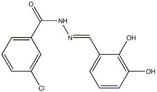 3-chloro-N'-[(E)-(2,3-dihydroxyphenyl)methylidene]benzohydrazide Struktur