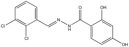 N'-[(E)-(2,3-dichlorophenyl)methylidene]-2,4-dihydroxybenzohydrazide Struktur