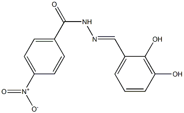 N'-[(E)-(2,3-dihydroxyphenyl)methylidene]-4-nitrobenzohydrazide 化学構造式