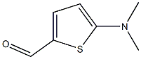 5-Dimethylamino-thiophene-2-carbaldehyde ,97% Structure