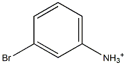 3-Bromoanilinium