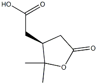 (S)-テトラヒドロ-2,2-ジメチル-5-オキソ-3-フラン酢酸 化学構造式