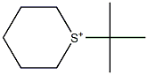 Hexahydro-1-tert-butylthiopyrylium 结构式
