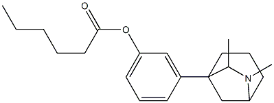  3-(6,7-Dimethyl-6-azabicyclo[3.2.1]octan-1-yl)phenol hexanoate