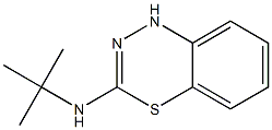 3-tert-Butylamino-1H-4,1,2-benzothiadiazine|