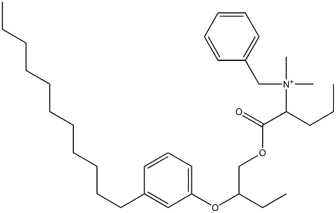 N,N-Dimethyl-N-benzyl-N-[1-[[2-(3-undecylphenyloxy)butyl]oxycarbonyl]butyl]aminium Struktur