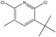 2,6-Dichloro-3-tert-butyl-5-methylpyridine