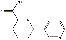 1,2,3,4,5,6-Hexahydro[2,3'-bipyridine]-6-carboxylic acid Structure