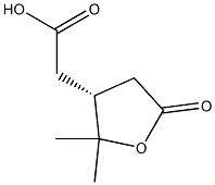 (R)-Tetrahydro-2,2-dimethyl-5-oxo-3-furanacetic acid,,结构式