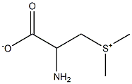 3-(Dimethylsulfonio)-2-aminopropionic acid