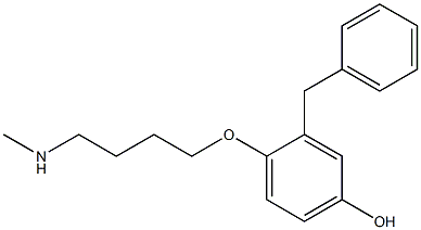  4-(2-Benzyl-4-hydroxyphenoxy)-N-methylbutan-1-amine