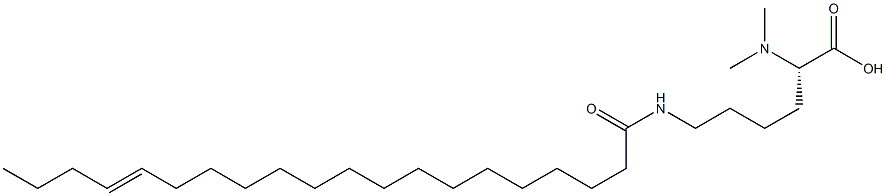 N6-(16-イコセノイル)-N2,N2-ジメチルリシン 化学構造式