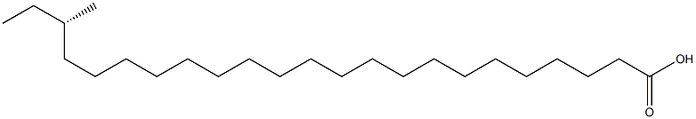 [S,(+)]-21-Methyltricosanoic acid Struktur