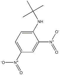 N-tert-Butyl-2,4-dinitroaniline Structure