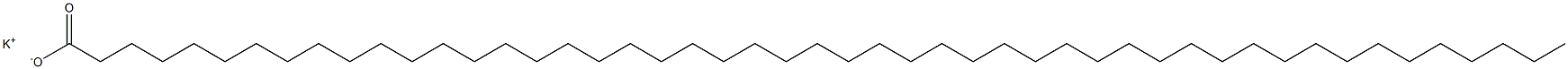 Nonatetracontanoic acid potassium salt|