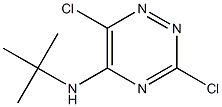 3,6-Dichloro-5-(tert-butylamino)-1,2,4-triazine,,结构式