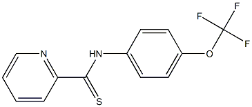 N-[4-Trifluoromethoxyphenyl]pyridine-2-carbothioamide 结构式