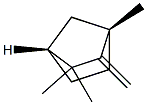 (1S,4R)-2-Methylene-1,3,3-trimethylnorbornane Struktur