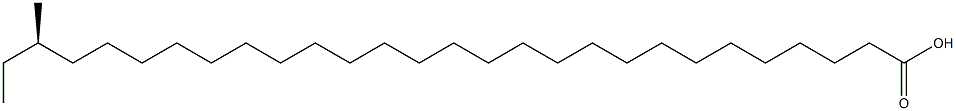 (R)-26-Methyloctacosanoic acid Struktur