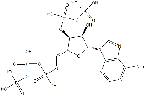 Adenosine 5'-triphosphoric acid 3'-diphosphoric acid,,结构式
