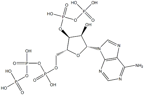 Adenosine 5'-triphosphoric acid 3'-diphosphoric acid