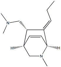 (1S,4R,5S)-5-[(Dimethylamino)methyl]-6-propylidene-2-methyl-2-azabicyclo[2.2.2]oct-7-ene Struktur