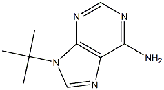 6-Amino-9-tert-butyl-9H-purine