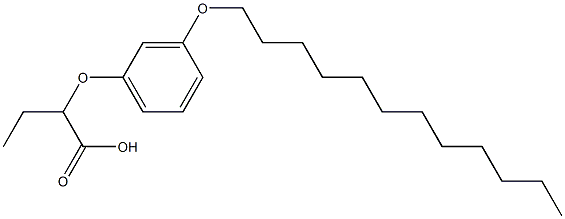 2-(3-Dodecyloxyphenoxy)butyric acid 结构式