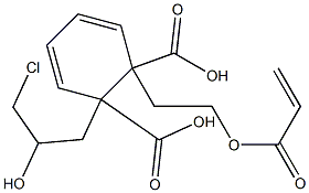 Phthalic acid 1-[2-(acryloyloxy)ethyl]2-(3-chloro-2-hydroxypropyl) ester 结构式