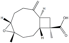  (1R,4S,5R,9S,11R)-4,5-Epoxy-4,11-dimethyl-8-methylenebicyclo[7.2.0]undecane-11-carboxylic acid