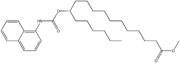 [S,(+)]-12-(1-Naphtylaminocarbonyloxy)stearic acid methyl ester Structure