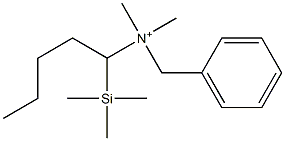 N-(Benzyl)-N,N-dimethyl-1-trimethylsilyl-1-pentanaminium,,结构式